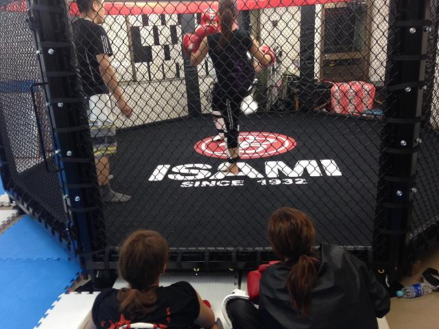 格闘技用ケージ2（金網）